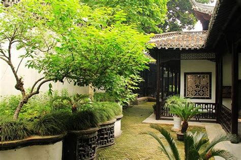 中國特色建築 適合庭院種的樹